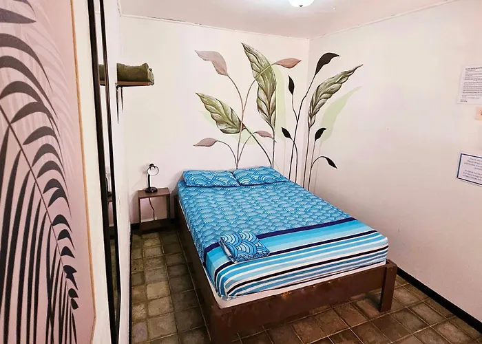 Casa Pura Vida Surf - Costa Rica Hostel