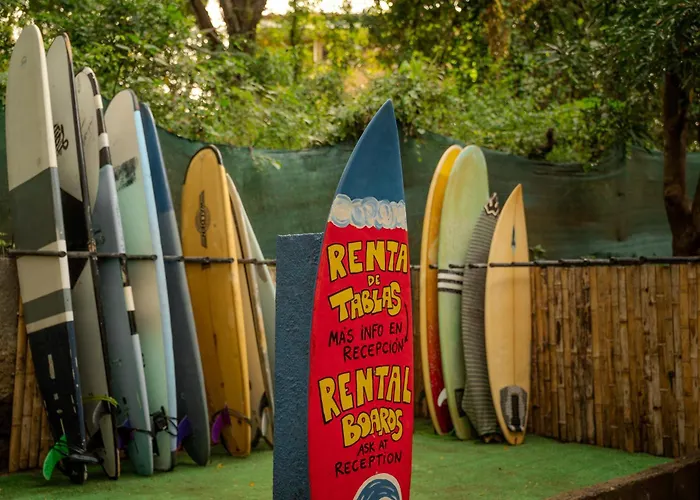 Casa Pura Vida Surf - Costa Rica Hostel